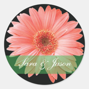 Roze Gerber Daisy op zwarte bruiloft sticker