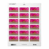 Roze Gerber Daisy Return Address Label (Full Sheet)