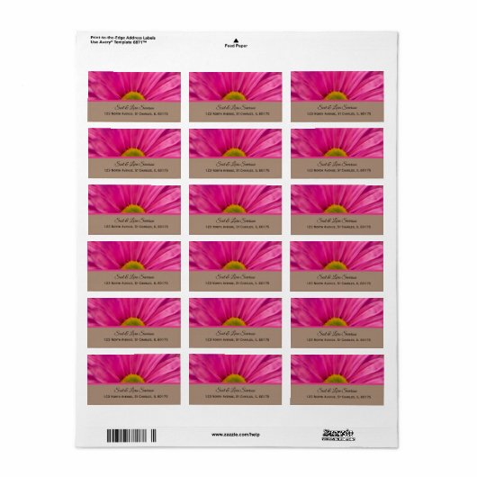 Roze Gerber Daisy Return Address Label (Full Sheet)