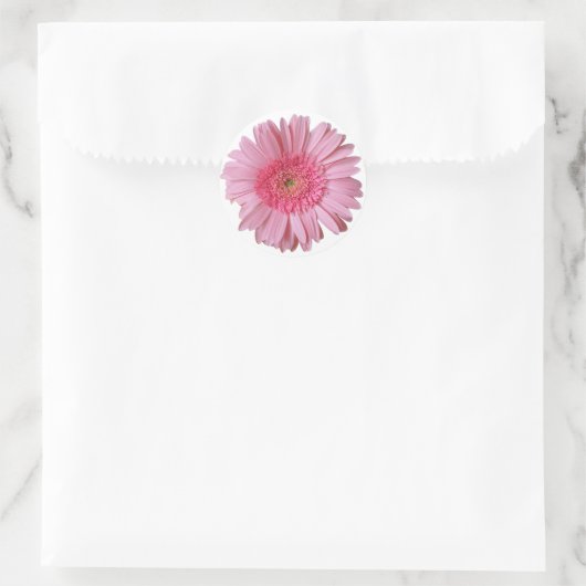  roze Gerber Daisy Sticker (Tas)