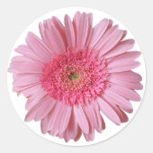  roze Gerber Daisy Sticker (Voorkant)