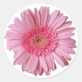  roze Gerber Daisy Sticker