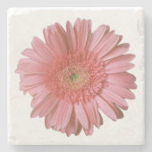 Roze Gerber Daisy Stone Onderzetter (Voorkant)