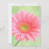 Roze Gerber Daisy Uitnodigingen (Achterkant)