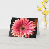 Roze Gerber Kaart (Gele Bloem)
