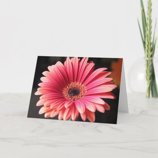 Roze Gerber Kaart (Voorkant)