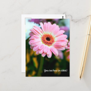 Roze Gerbera Ansichtkaart Briefkaart