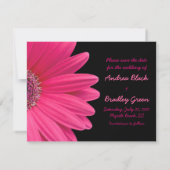 Roze Gerbera Black Foto Save the Date Kaart (Achterkant)
