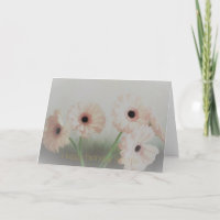 Roze Gerbera bloemen verjaardag