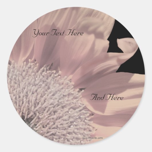 Roze Gerbera Custom Envelope-zegels Ronde Sticker (Voorkant)