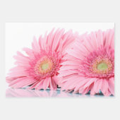 Roze Gerbera Daisies Elegant Photography Inpakpapier Vel (Voorkant 2)