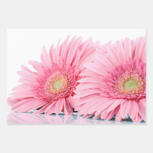Roze Gerbera Daisies Elegant Photography Inpakpapier Vel