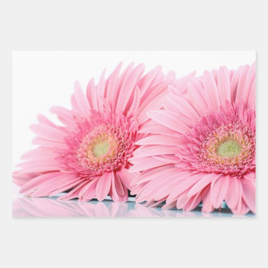 Roze Gerbera Daisies Elegant Photography Inpakpapier Vel (Voorkant)