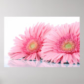 Roze Gerbera Daisies Elegant Photography Poster (Voorkant)