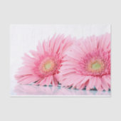 Roze Gerbera Daisies Elegant Photography Tissuepapier (Voorkant)
