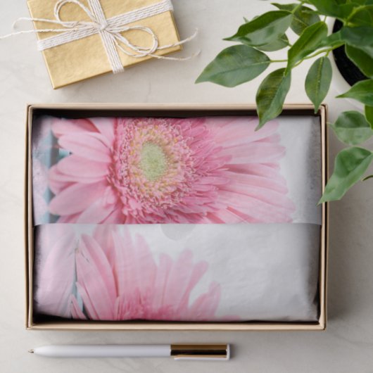 Roze Gerbera Daisies Elegant Photography Tissuepapier (Geschenk)