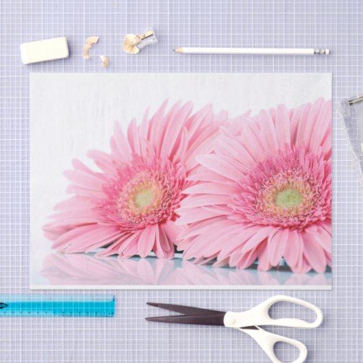 Roze Gerbera Daisies Elegant Photography Tissuepapier (Craft)