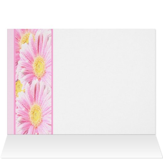 Roze Gerbera Daisies op witte gereserveerde Kaart (Binnen Horizontaal (Boven))