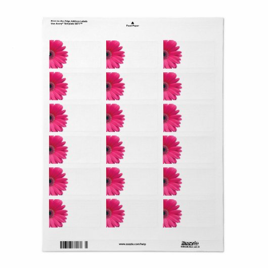 Roze Gerbera Daisy Bloem Bruiloft Blank Adres Etiket (Full Sheet)
