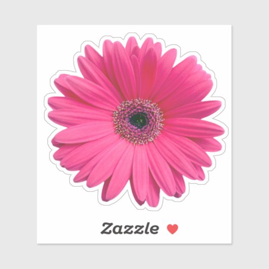 Roze Gerbera Daisy Bloem Kiss-cut Sticker (Vel)