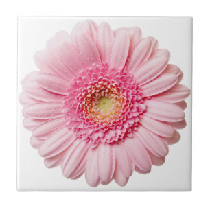 Roze Gerbera Daisy Ceramic Tile Tegeltje