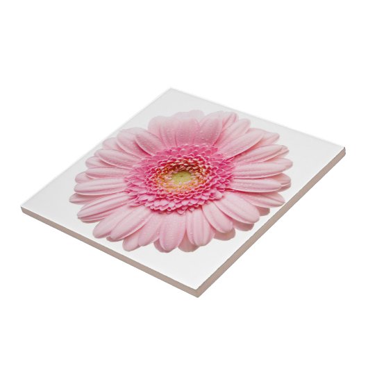 Roze Gerbera Daisy Ceramic Tile Tegeltje (Zijkant)