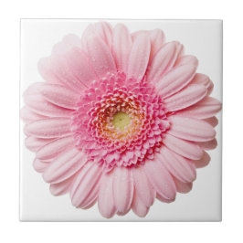 Roze Gerbera Daisy Ceramic Tile Tegeltje