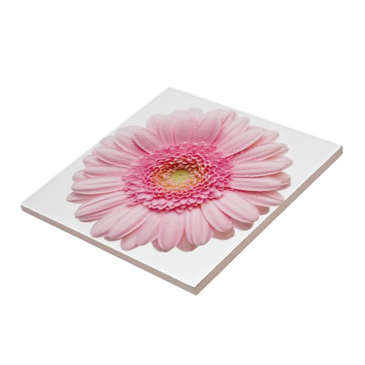 Roze Gerbera Daisy Ceramic Tile Tegeltje (Zijkant)