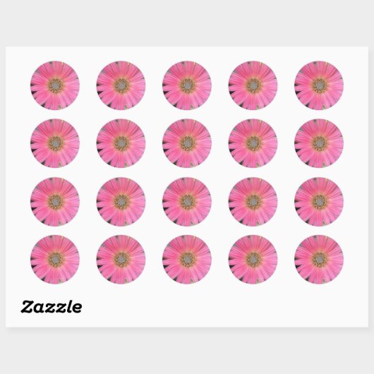 Roze Gerbera Daisy Envelope Stickers (Vel)