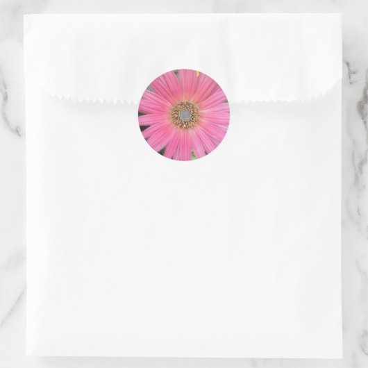 Roze Gerbera Daisy Envelope Stickers (Tas)
