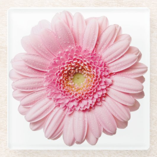 Roze Gerbera Daisy Flower Glass Onderzetter Glazen Onderzetter (Voorkant)