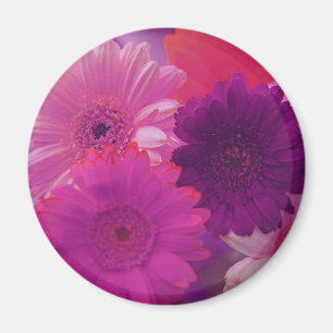 Roze Gerbera Daisy Flower koelkast Magnet