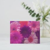 Roze Gerbera Daisy Flower Photo Art Briefkaarten (Staand voorkant)