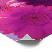Roze Gerbera Daisy Flowers Wall Art Poster (Hoek)