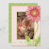 Roze Gerbera Daisy Foto Geboorteaankondiging Aankondiging (Voorkant / Achterkant)