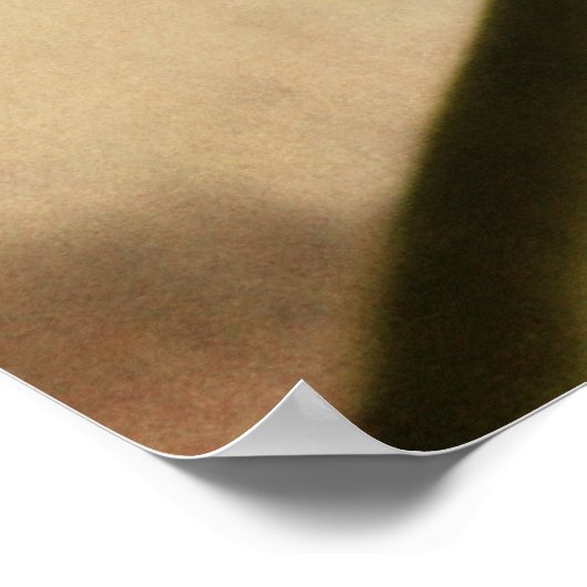 Roze Gerbera Daisy - Fotografische afdruk Poster (Hoek)