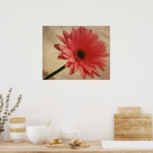 Roze Gerbera Daisy - Fotografische afdruk Poster (Keuken)