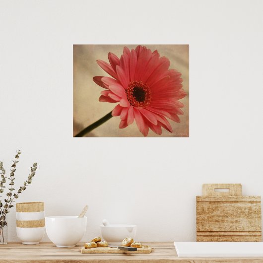 Roze Gerbera Daisy - Fotografische afdruk Poster (Keuken)