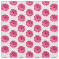 Roze Gerbera Daisy Gerber Daisy Bloem Bloemen