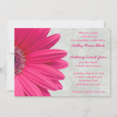 Roze Gerbera Daisy Gray Gray Weddenschap Kaart (Voorkant)