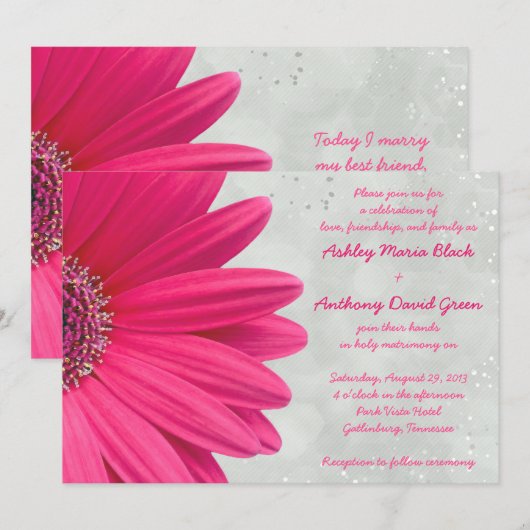 Roze Gerbera Daisy Gray Gray Weddenschap Kaart (Voorkant / Achterkant)