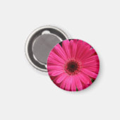 Roze Gerbera Daisy Magnet (Voorkant / Achterkant)