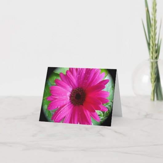 Roze Gerbera Daisy notecard Kaart (Voorkant)