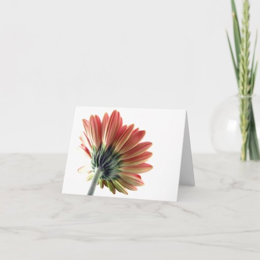 Roze Gerbera Daisy Notecard Kaart (Voorkant)