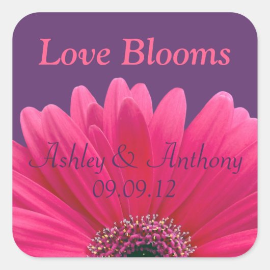 Roze Gerbera Daisy Paarse bruiloft Sticker (Voorkant)