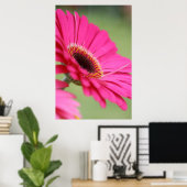 Roze Gerbera Daisy Poster Print (Thuiskantoor)