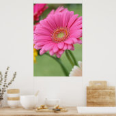 Roze Gerbera Daisy Poster Print (Keuken)