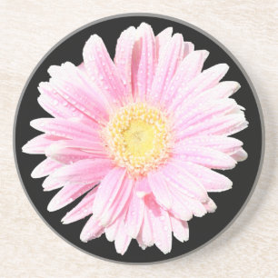 Roze Gerbera Daisy Sandstone Onderzetter