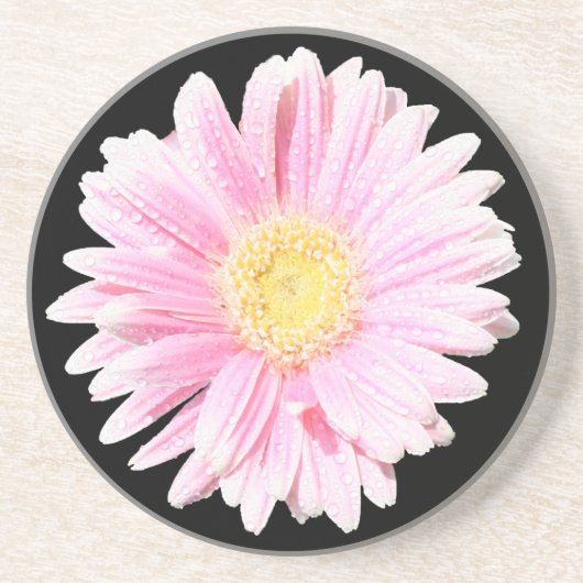 Roze Gerbera Daisy Sandstone Onderzetter (Voorkant)
