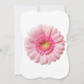 Roze Gerbera Daisy Uitnodigingen (Achterkant)
